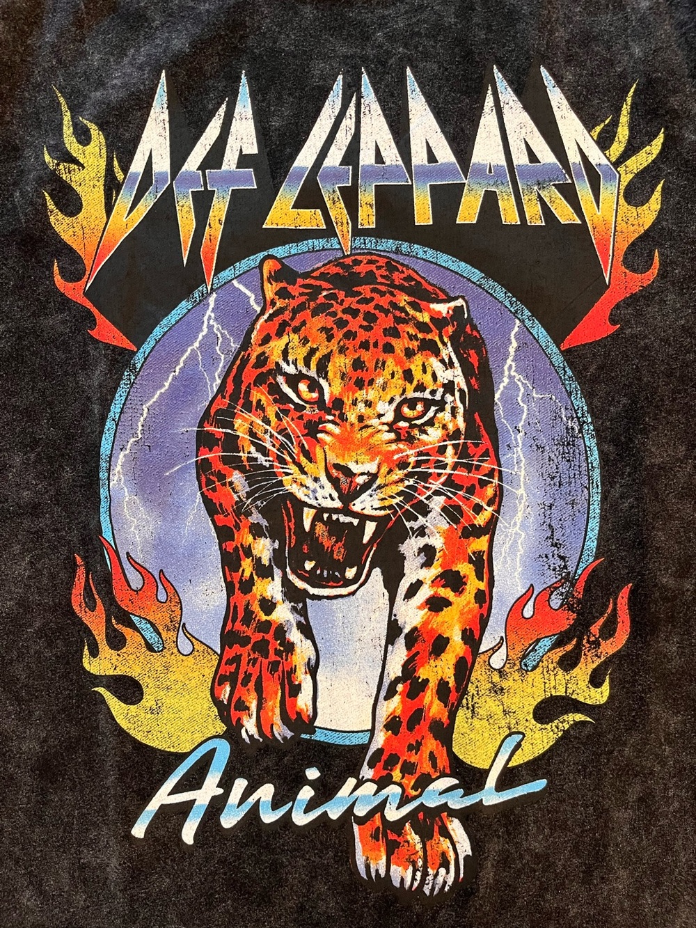 Def Leppard Animal Leopard Graphic Tee - Bold Multicolor Print